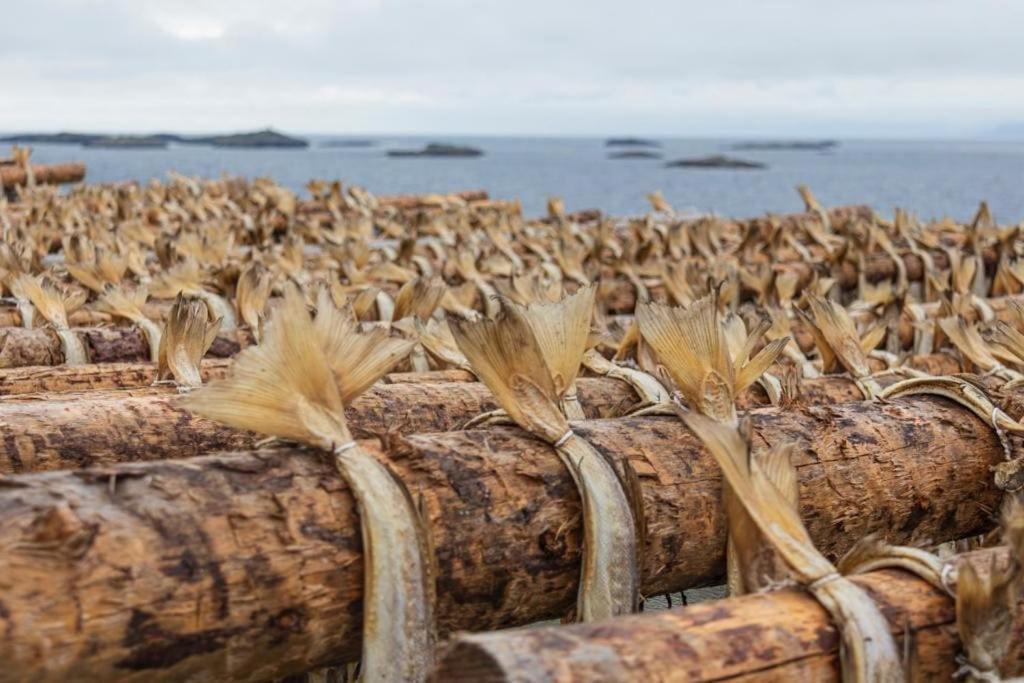 Lofoten Holiday Kabelvåg Eksteriør billede
